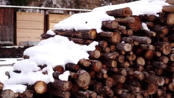 Зберігання дерев'яних колод, покритих снігом — стокове відео