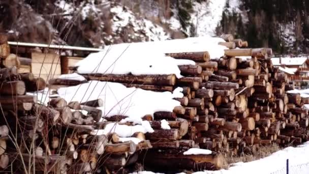 Armazenamento de troncos de madeira cobertos de neve — Vídeo de Stock