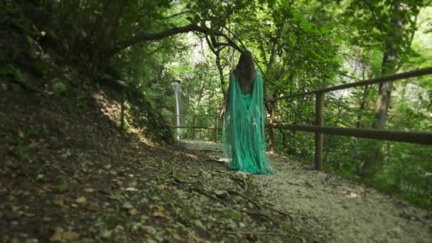 Chica con elegante vestido verde camina en medio del bosque — Vídeos de Stock