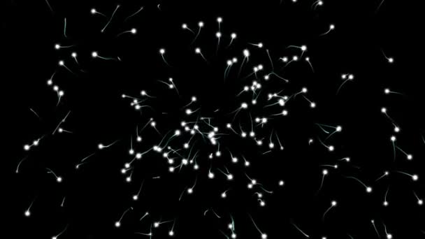 Σωματίδια που μοιάζουν με σπέρμα σε μαύρο φόντο — Αρχείο Βίντεο