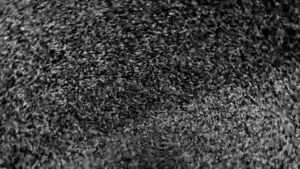 Tourbillon de particules blanches comme neige sur fond noir 