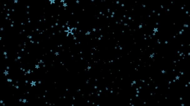 Snöflingor flyga utan gravitation på en svart bakgrund — Stockvideo