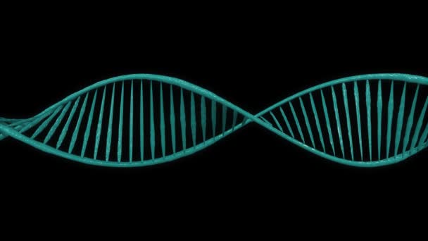 DNA obraca się na zielonym ekranie — Wideo stockowe