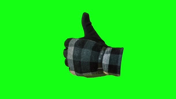 Hand mit Handschuhen zieht Daumen hoch auf grünem Bildschirm — Stockvideo