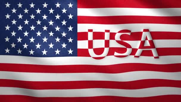 미국 국기는 바람을 타고 약간 이동 한다 — 비디오