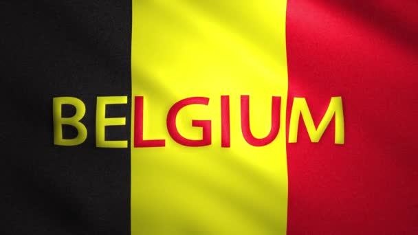 Belgium flag moves slightly in the wind — Stock Video