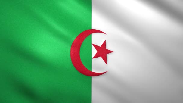 Alžírská vlajka se lehce pohybuje ve větru — Stock video