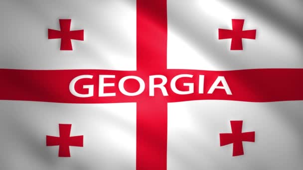 Flag of Georgia with the name of the country — Stock Video