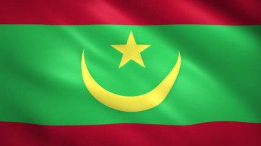 Moritanya bayrağı rüzgarda dalgalanıyor