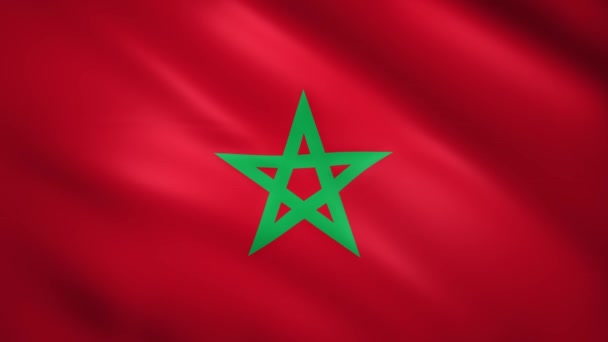 Drapeau du Maroc soufflant dans le vent — Video