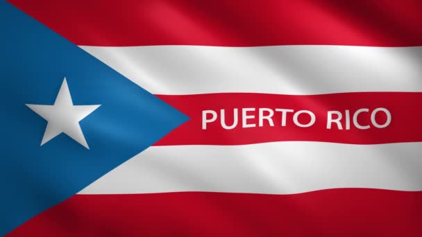 Puerto Rico vlag beweegt iets in de wind — Stockvideo