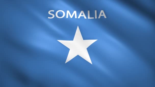 소말리아의 국기와 그 나라의 이름이 쓰여 있다 — 비디오