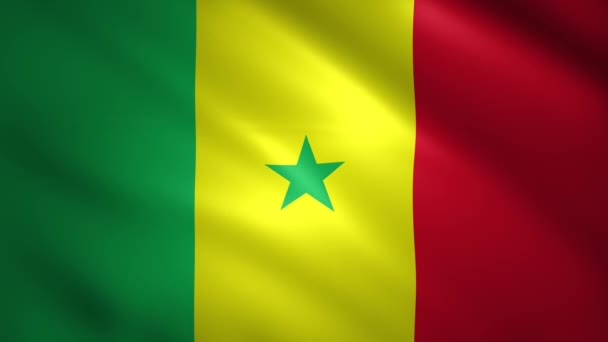 Senegal flag moves in the wind — Stock Video