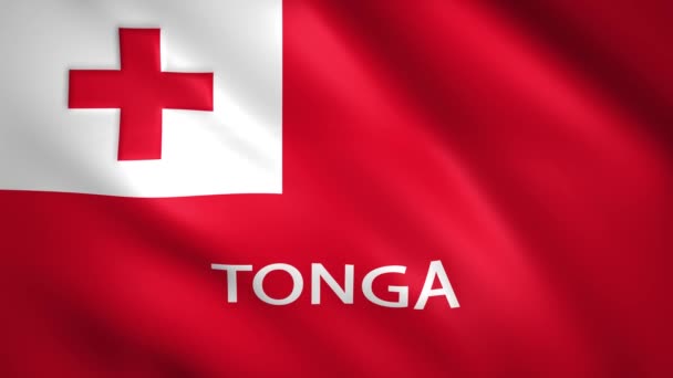 Tonga bayrağı, ülkenin adı. — Stok video