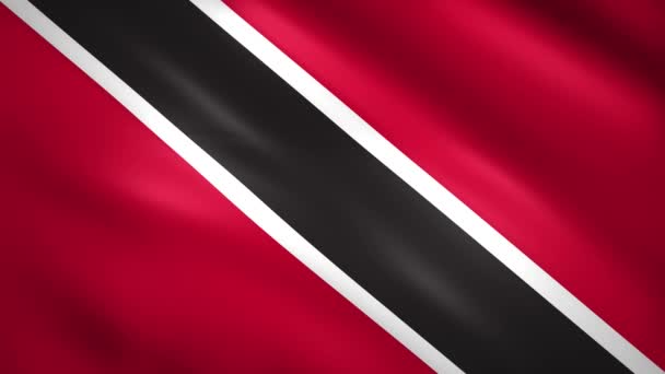 Trinidad and Tobago flag moves in the wind — Stock Video