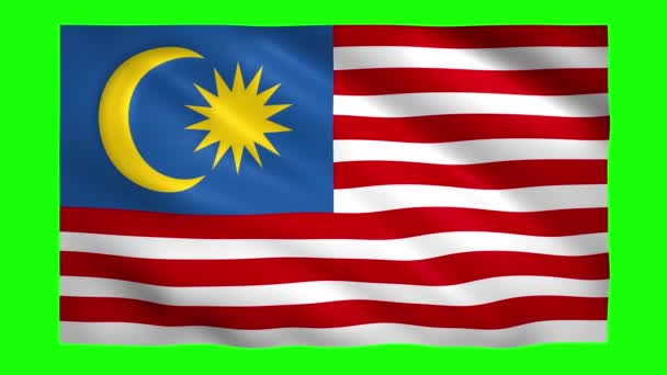 Malaysia flagga på grön skärm för chroma nyckel — Stockvideo