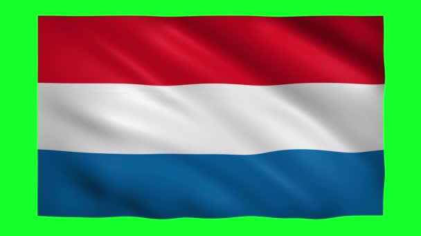 Drapeau Pays-Bas sur écran vert pour clé chromatique 