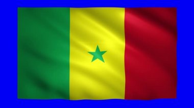 Krom anahtarı için yeşil ekranda Senegal bayrağı