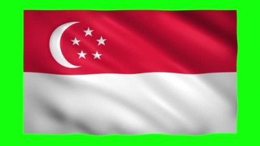 Krom anahtarı için yeşil ekranda Singapur bayrağı