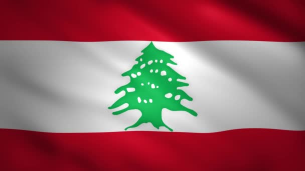 レバノンの旗が風の中で動く — ストック動画