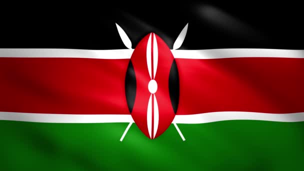 Kenya flag moves in the wind — Stock Video
