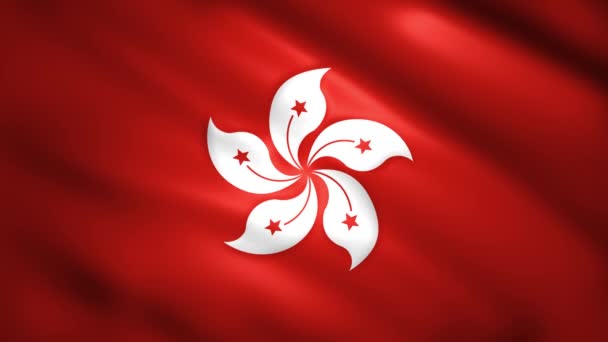 Hong Kong vlag beweegt in de wind — Stockvideo