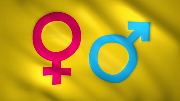 Symbole de genre féminin et masculin sur le drapeau — Video