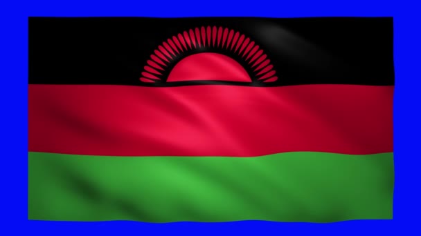 Σημαία Μαλάουι στην πράσινη οθόνη για χρωματικό κλειδί — Αρχείο Βίντεο