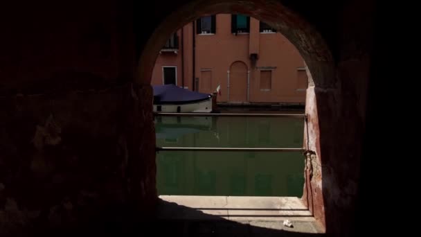 Under arkaderna i den venetianska staden Chioggia — Stockvideo