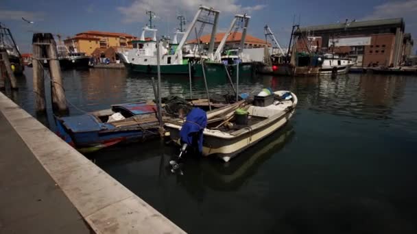 Barcos de pesca estacionados con gaviotas volando alrededor — Vídeos de Stock