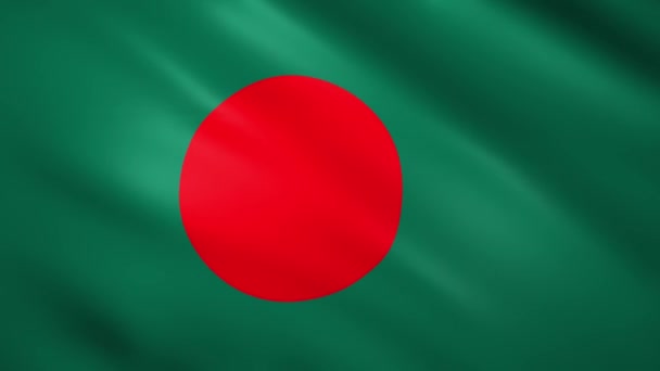 Bangladeş bayrağı rüzgarda dalgalanıyor — Stok video