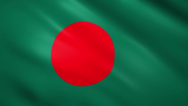 Bangladesh vlag wapperend in de wind — Stockvideo