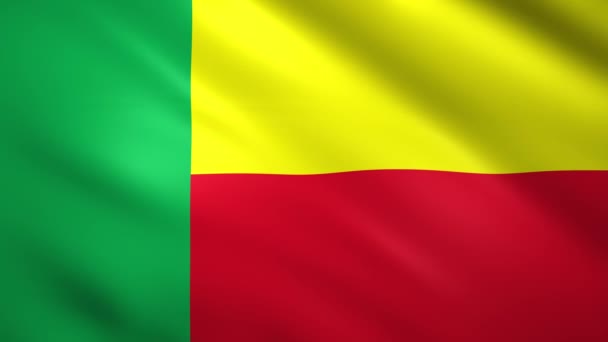 Флаг Бенина движется на ветру — стоковое видео