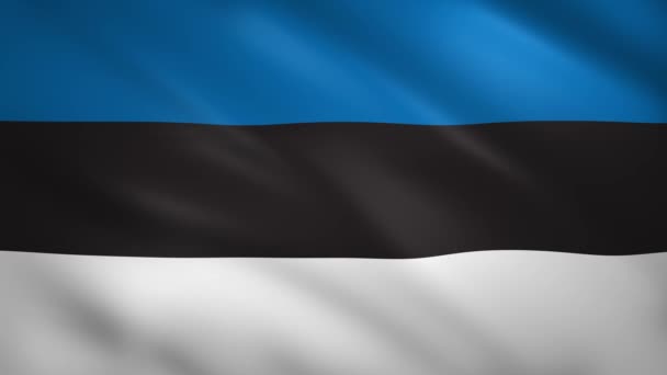 Flaga Estonii machająca na wietrze — Wideo stockowe