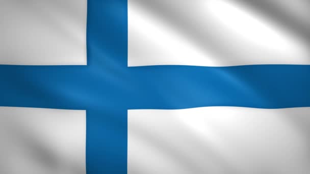 Flag of Finland waving in the wind — Stock Video