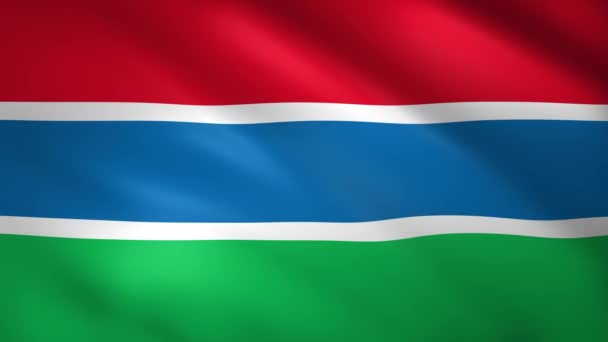 De vlag van Gambia wapperend in de wind — Stockvideo