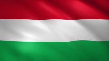 Rüzgarda sallanan Macaristan bayrağı