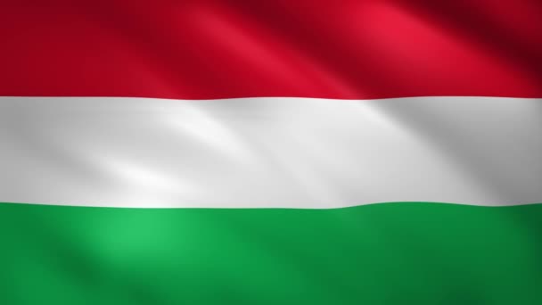Zászló Magyarország integetett a szélben — Stock videók