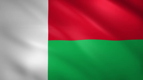 马达加斯加国旗在风中飘扬 — 图库视频影像