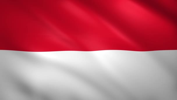 Indonesië Vlag wapperend in de wind — Stockvideo