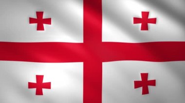  Georgia bayrağı rüzgarda dalgalanıyor