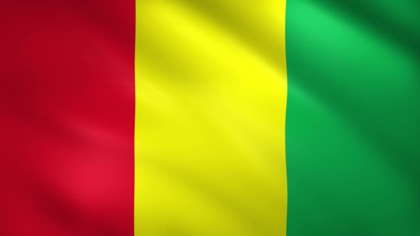 Bandera de Guinea ondeando al viento — Vídeo de stock