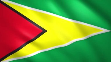 Rüzgarda sallanan Guyana bayrağı