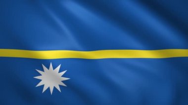 Rüzgarda dalgalanan Nauru bayrağı