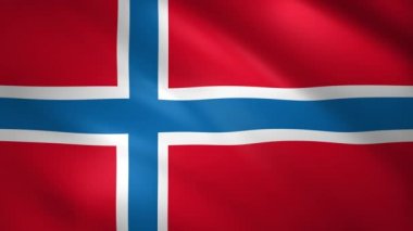 Norveç bayrağı rüzgarda dalgalanıyor