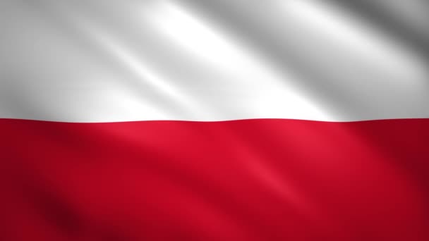 Πολωνική σημαία κυματίζει στον άνεμο — Αρχείο Βίντεο