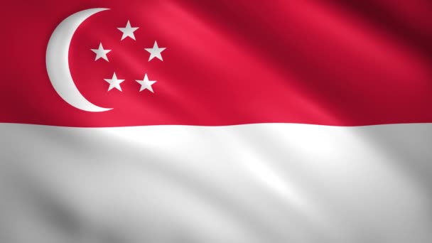 Singapore vlag zwaaiend in de wind — Stockvideo