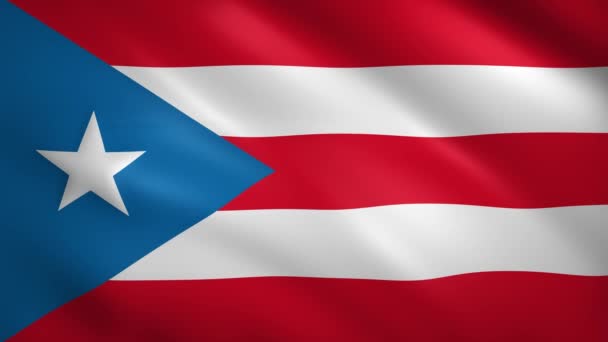 Flaga Portoryko porusza się lekko na wietrze — Wideo stockowe