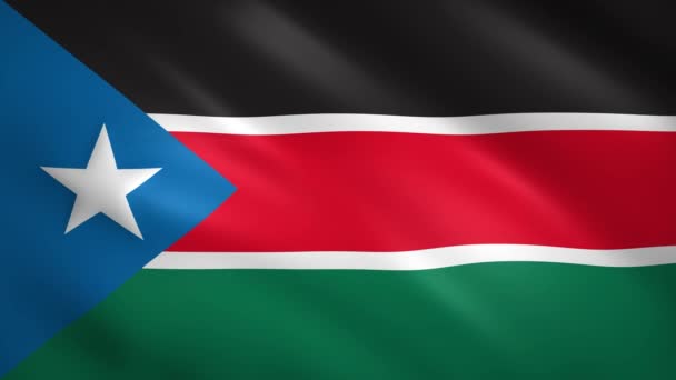 Drapeau du Soudan du Sud agitant le vent 