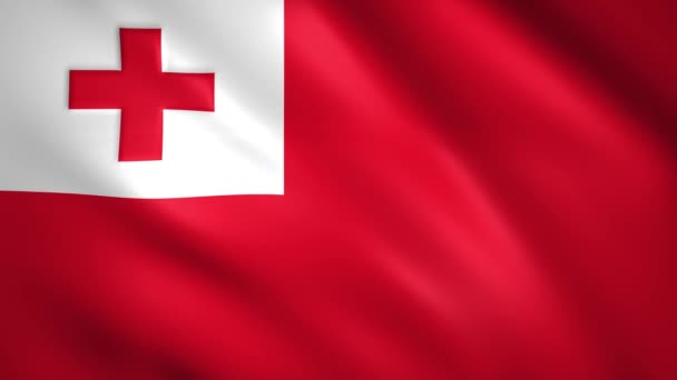 Tonga vlag wapperend in de wind — Stockvideo